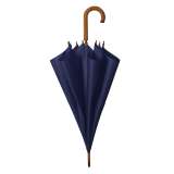 CLASSIC NATURE - slika 3