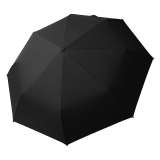 RAIN - slika 2