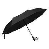 RAIN - slika 1